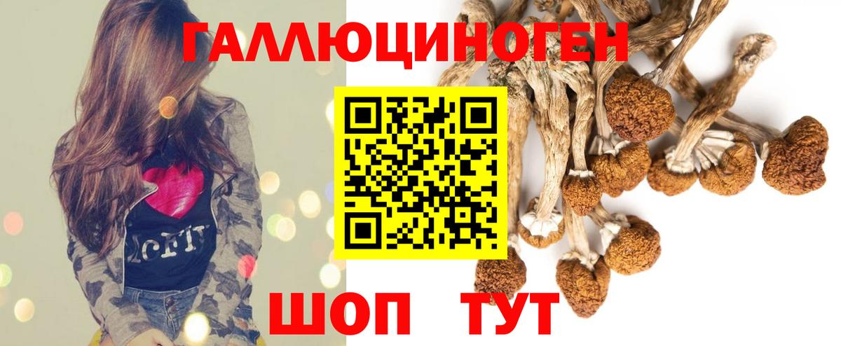 Кудымкар  Псилоцибиновые грибы GOLDEN TEACHER  купить наркотики цена  Вход с VPN 