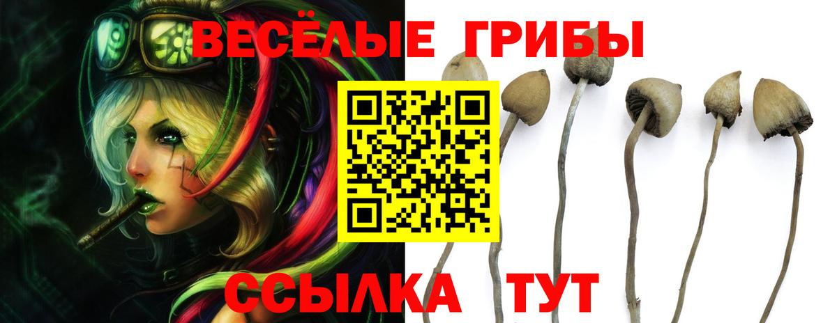 Галлюциногенные грибы мицелий Кудымкар