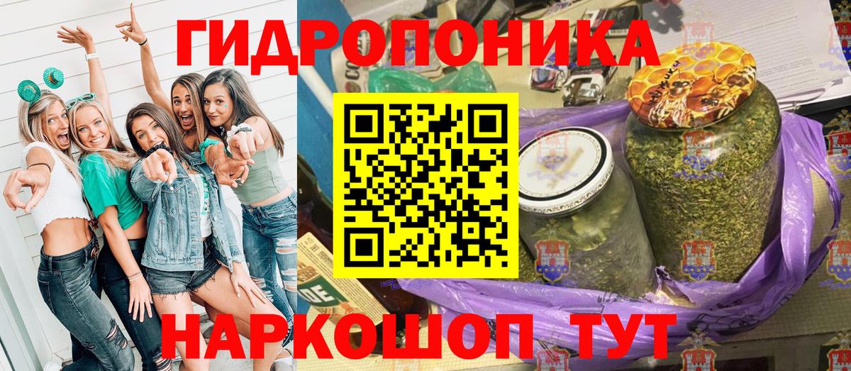 Канабис LSD WEED  Шишки марихуана сатива  Вход с VPN  Каннабис планчик  Кудымкар 